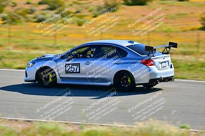 media/Apr-06-2024-Extreme Speed (Sat) [[3431b70655]]/Green-mid int/Session 1-The Bowl/